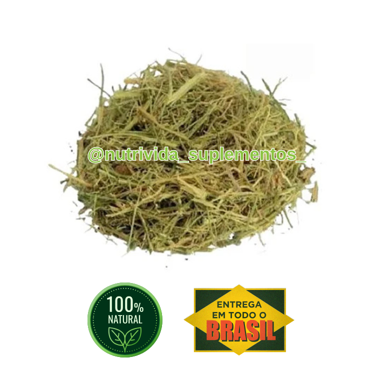 Chá de São Caetano Chá de São Caetano 50g - NutriVida - Imagem 1