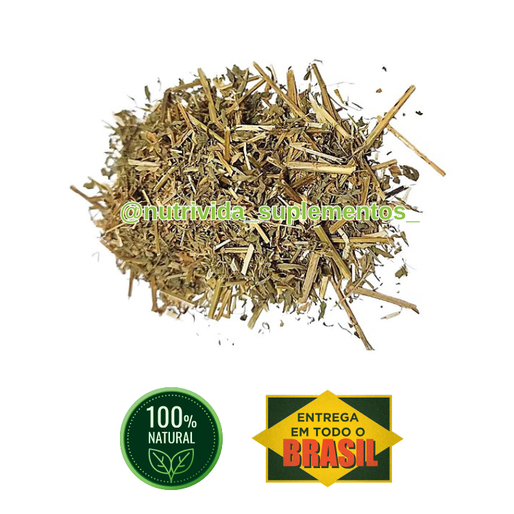 Chá de Alfafa Premium 50g