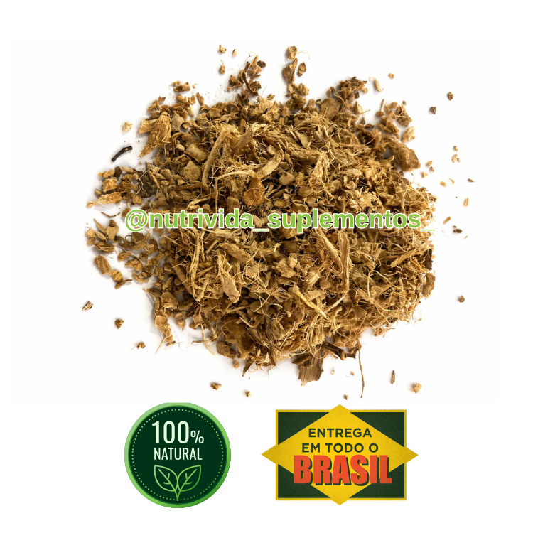 Chá de Angélica Premium 50g