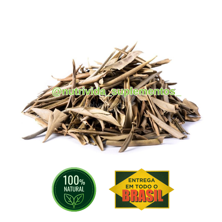 Chá de Oliveira Chá de Oliveira 50g - NutriVida - Imagem 1